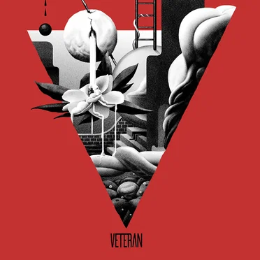 Veteran by Veteran - album cover