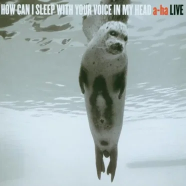 How Can I Sleep With Your Voice in My Head