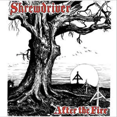 After The Fire by Skrewdriver - album cover