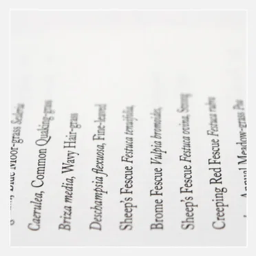 Wolf Notes