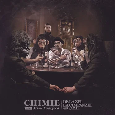 De la Zei la Cimpanzei