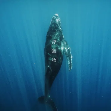 浮遊物