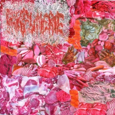 Transmundane and Unprofessional Delocation of Superfluous Extremities and Rare Tissues E.P. by Parfumerie - album cover