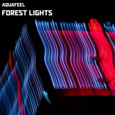 Forest Lights