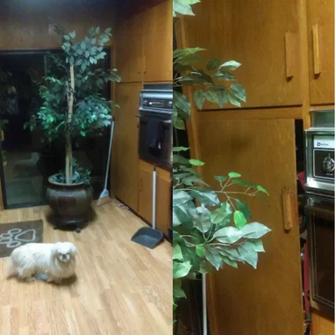 Game Night at Grandma's