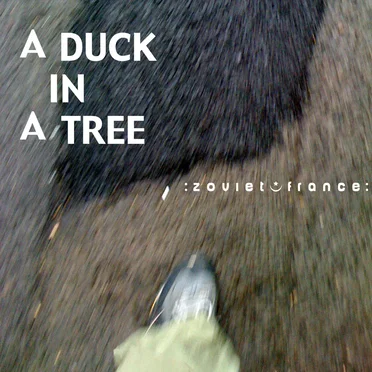 A Duck in a Tree #1, “beta 1”