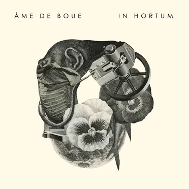 In Hortum by Ame de boue - album cover