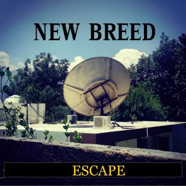 Escape