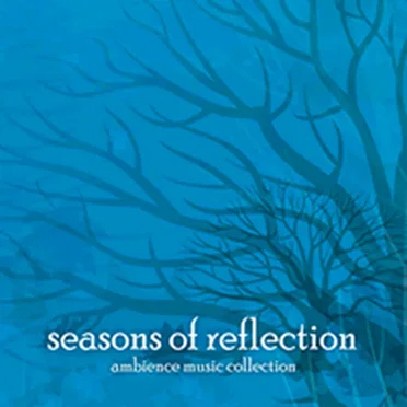 Seasons of Reflection: Winter