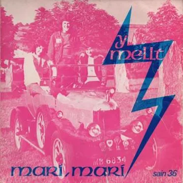 Mari, Mari by Y Mellt - album cover