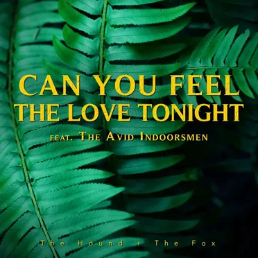 Can You Feel The Love Tonight