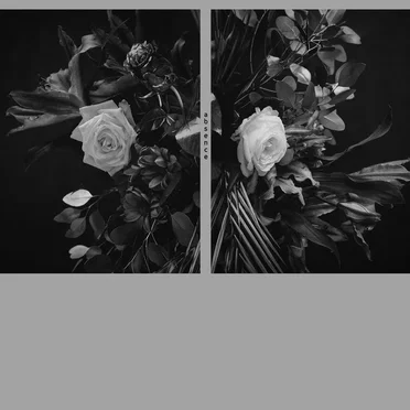 Absence