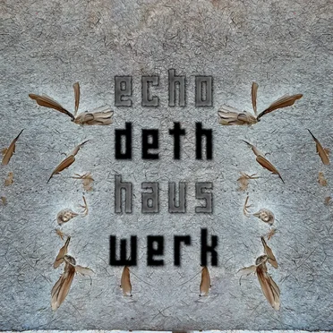 Dethwerk by Echo Haus - album cover