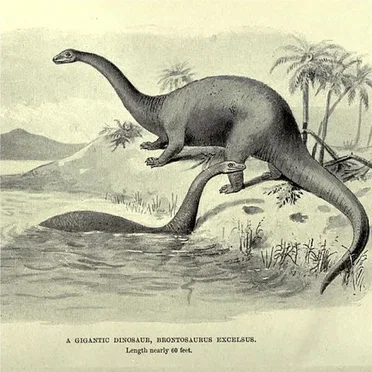 Brontosaurus by Brontosaurus - album cover