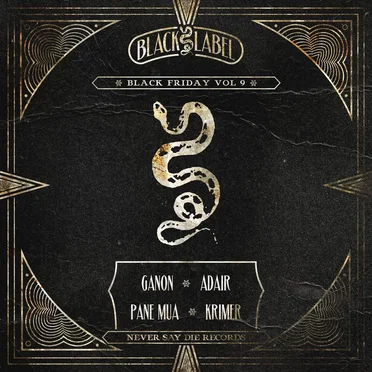 Black Friday, Vol. 9 by Various Artists - album cover
