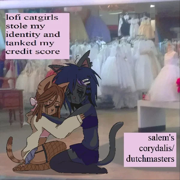 Lofi Catgirls Stole My Identity and Tanked My Credit Score