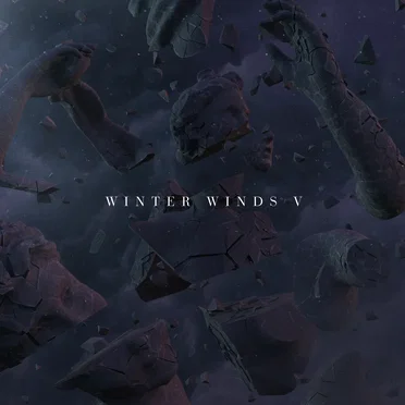WINTER WINDS vol. 5 by Various Artists - album cover