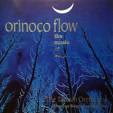 Orinoco Flow: The Music of Enya