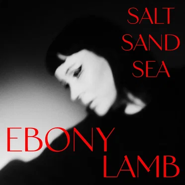 Salt Sand Sea