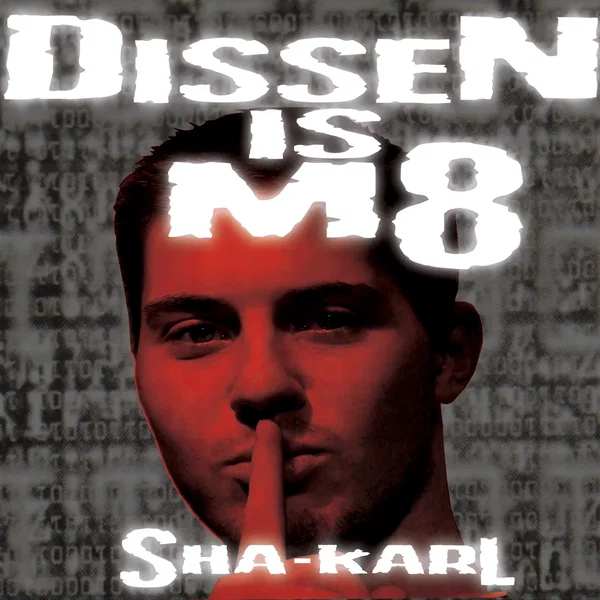 Dissen Is M8