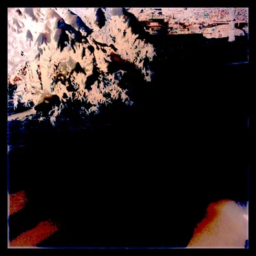 In the Winter by Flora Cash - album cover