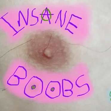 Insane Demo by Insane Boobs - album cover