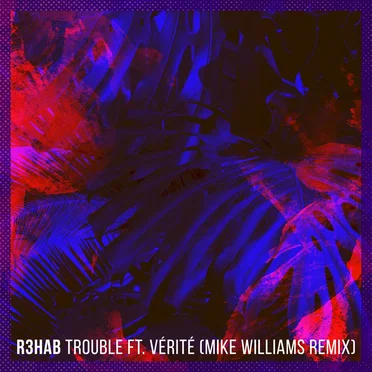 Trouble (Mike Williams remix)