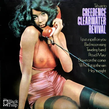 Tribute to Creedence Clearwater Revival