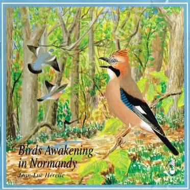 Le Réveil des oiseaux en Normandie / Birds Awakening in Normandy