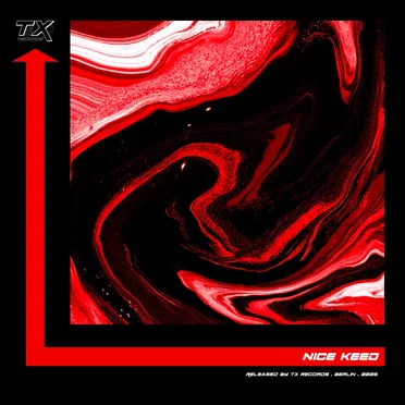 In Paris by NICE KEED - album cover