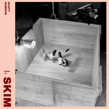 SKIM by Scott Douglas Gordon - album cover