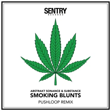 Smoking Blunts (Pushloop remix)