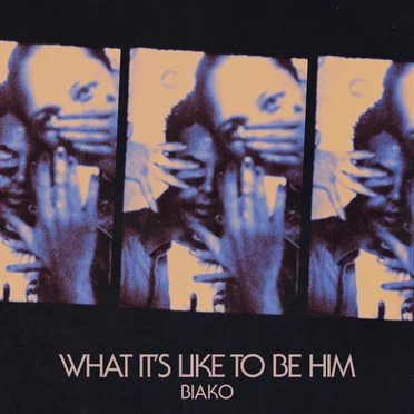 What It’s Like to be Him