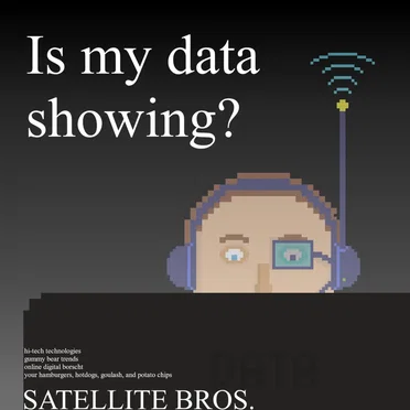 Is My Data Showing? by Satellite Bros. - album cover