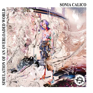 Simulation Of An Overloaded World by Sonia Calico - album cover