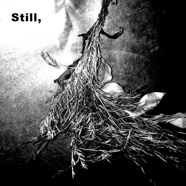 Still,