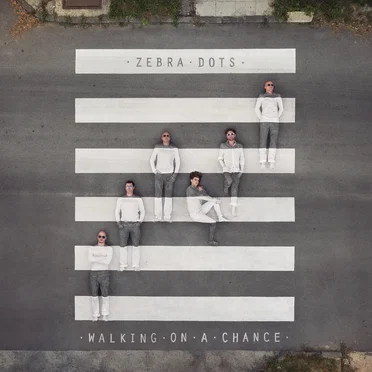 Walking On A Chance by Zebra Dots - album cover