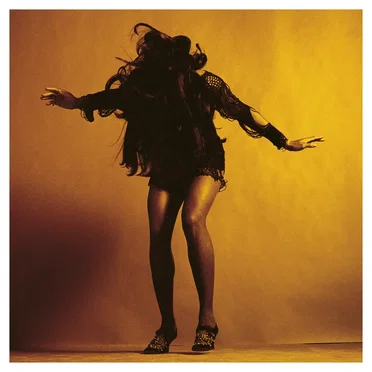 Everything You’ve Come to Expect by The Last Shadow Puppets - album cover