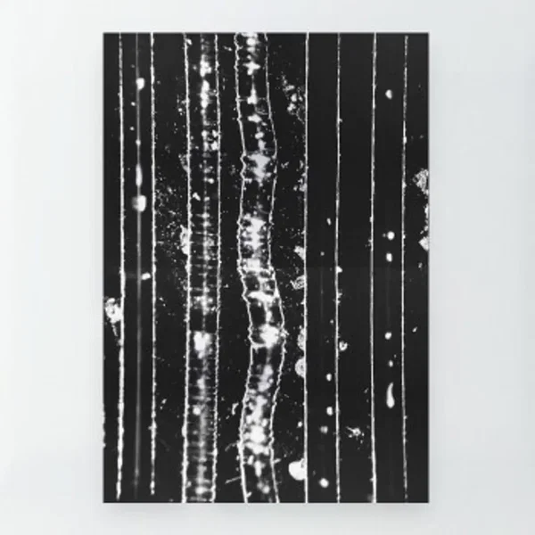 Yesterday, Today, Tomorrow, Forever