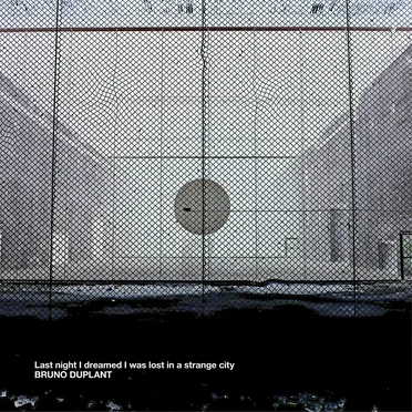 Last Night I Dreamed I Was Lost in a Strange City