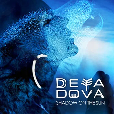 Shadow on the Sun