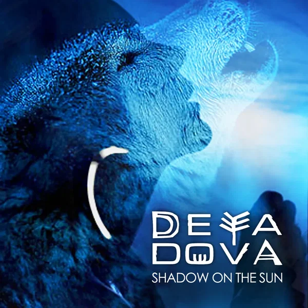 Shadow on the Sun