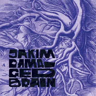 Damaged Brain