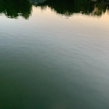Wavelets