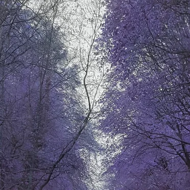 The Journey of Life
