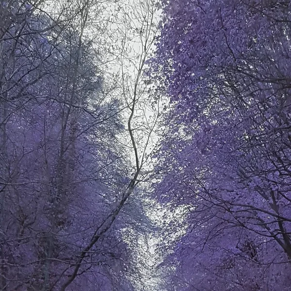 The Journey of Life