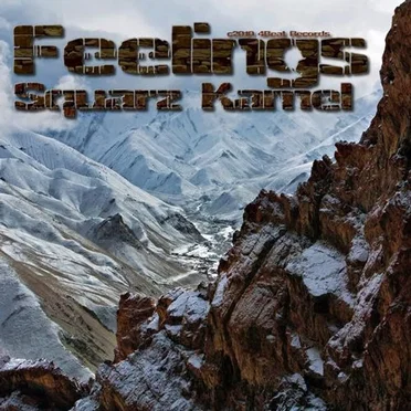 Feelings by Squarz Kamel - album cover