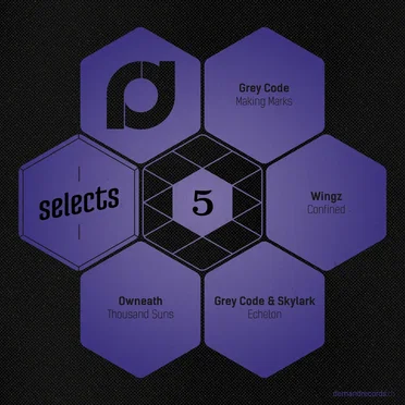 Demand Selects #5 by Various Artists - album cover