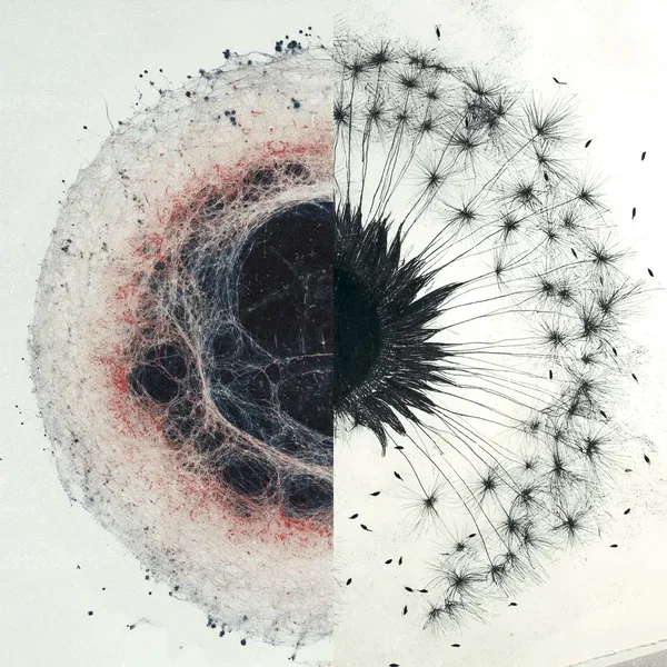 dandelions