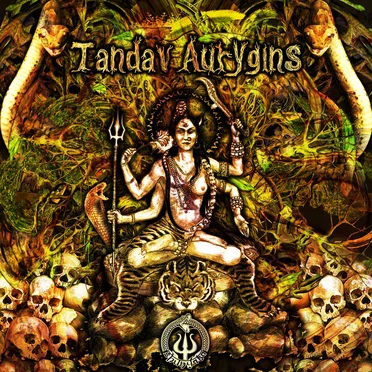 Tandav Aurygins by Various Artists - album cover